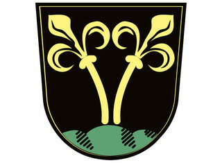 Wappen der Stadt Traunstein